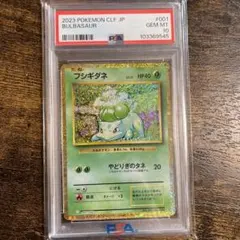 2026年最新】フシギダネ psa10の人気アイテム - メルカリ