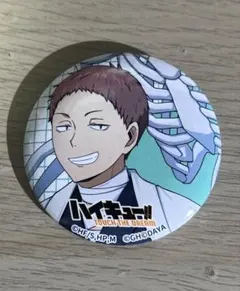 2026年最新】ハイドリ ハイキューの人気アイテム - メルカリ