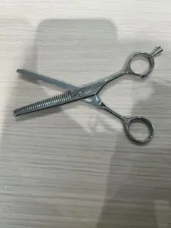 2026年最新】ミズタニシザー セニングの人気アイテム - メルカリ