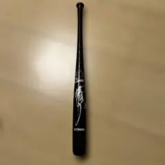 2026年最新】清原 サイン バットの人気アイテム - メルカリ