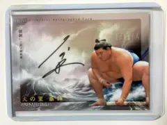 2026年最新】大の里 サインカードの人気アイテム - メルカリ