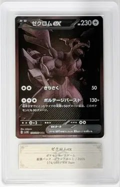 2026年最新】ゼクロムbwrの人気アイテム - メルカリ