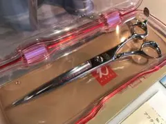 2026年最新】光 ネオコスモスの人気アイテム - メルカリ