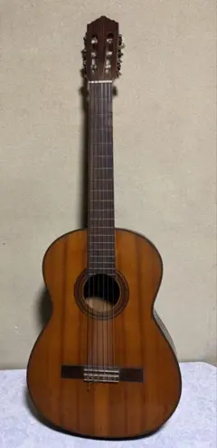 2026年最新】SHINANO ギターの人気アイテム - メルカリ