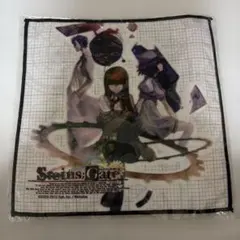 2026年最新】シュタインズゲート マイクロファイバータオルの人気