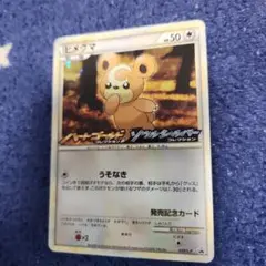 2026年最新】ヒメグマ プロモの人気アイテム - メルカリ