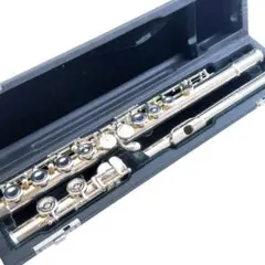 2026年最新】pearl フルートの人気アイテム - メルカリ