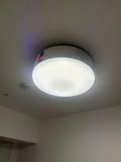 2026年最新】popin aladdin ドット抜けの人気アイテム - メルカリ