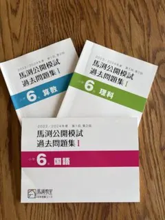 2026年最新】馬渕 公開模試 過去問 小6の人気アイテム - メルカリ
