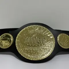 2026年最新】iwgp ベルト プラスチックの人気アイテム - メルカリ