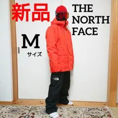2026年最新】THE NORTH FACE カラー：レッド系 ウェア(男性用)の人気