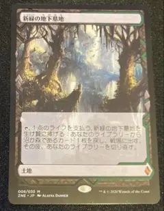 2026年最新】新緑の地下墓地の人気アイテム - メルカリ