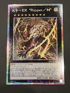 2026年最新】k9 プリズマの人気アイテム - メルカリ