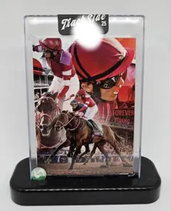 2026年最新】ホースレーシングカード 坂井の人気アイテム - メルカリ