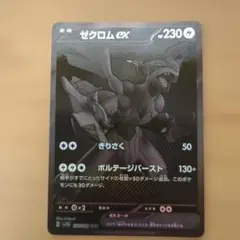 2026年最新】ゼクロムbwrの人気アイテム - メルカリ