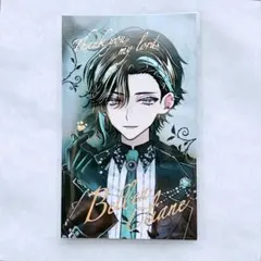 2026年最新】あくねこ ベレン 箔押しの人気アイテム - メルカリ