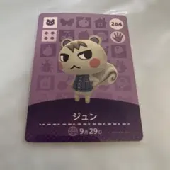 2026年最新】あつ森amiiboジュンの人気アイテム - メルカリ