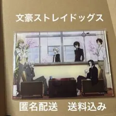 2026年最新】文スト アクリルパネルの人気アイテム - メルカリ