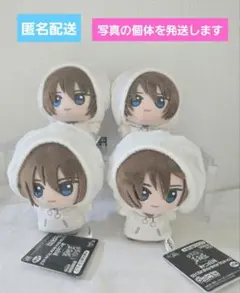 2026年最新】不二周助 ぬいぐるみの人気アイテム - メルカリ