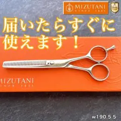 2026年最新】ミズタニシザーの人気アイテム - メルカリ