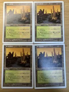 2026年最新】低木林地の人気アイテム - メルカリ