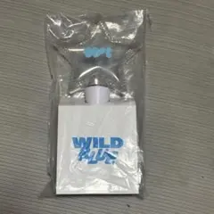 2026年最新】WILDBLUE ペンライトの人気アイテム - メルカリ