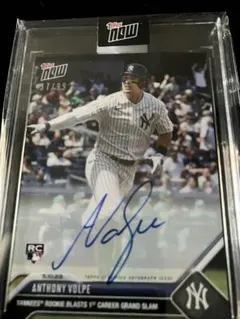 2026年最新】アンソニー・ボルピの人気アイテム - メルカリ