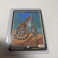 2026年最新】オセロットの群れの人気アイテム - メルカリ