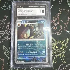 2026年最新】ブラッキー マスターボール arsの人気アイテム - メルカリ