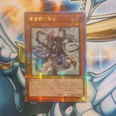 2026年最新】青き眼の賢士 25の人気アイテム - メルカリ