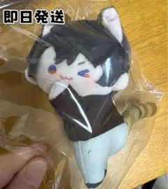 2026年最新】恋と深空 マヒル ぬいぐるみの人気アイテム - メルカリ