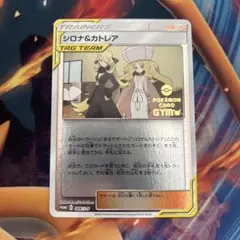 2026年最新】シロナ&カトレア プロモの人気アイテム - メルカリ