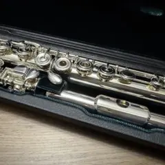 2026年最新】アルタスフルートの人気アイテム - メルカリ