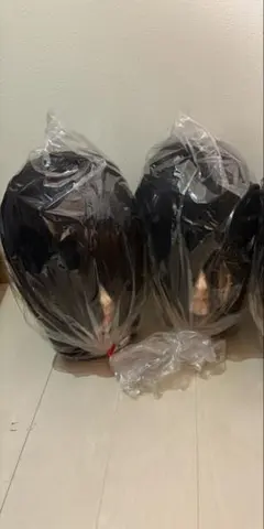 2026年最新】国家試験カットウィッグの人気アイテム - メルカリ