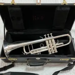 2026年最新】stradivarius bach 37の人気アイテム - メルカリ