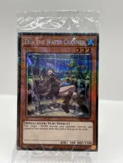 希少 EU版 大輪の霊使い スターライトレア 遊戯王 新品未開封 - メルカリ