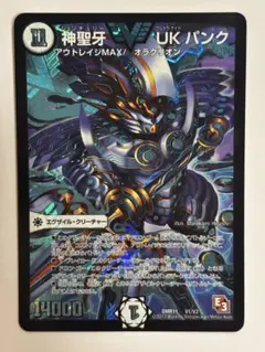 m72058574939_1.jpg?1770730783