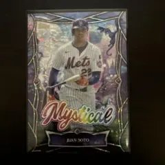 2026年最新】フアン・ソトの人気アイテム - メルカリ