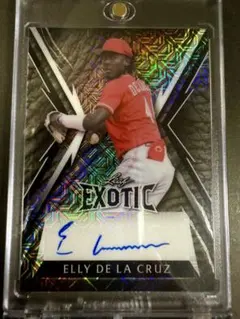 2026年最新】elly de la cruz サインの人気アイテム - メルカリ