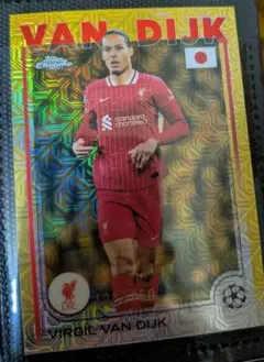 2026年最新】ファンダイク カードの人気アイテム - メルカリ