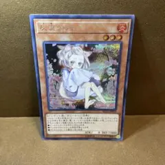 2026年最新】うらら シークレット 絵違いの人気アイテム - メルカリ