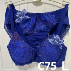 2026年最新】ワコール サルート c75の人気アイテム - メルカリ