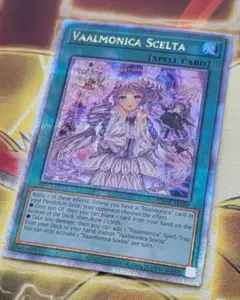 2026年最新】遊戯王 ヴァルモニカ・シェルタ 25thシクの人気アイテム