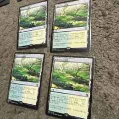 2026年最新】MTG 吹きさらしの荒野の人気アイテム - メルカリ