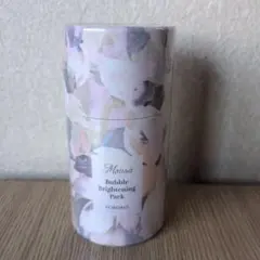 2026年最新】ムーサバブルブライトニングパックの人気アイテム - メルカリ