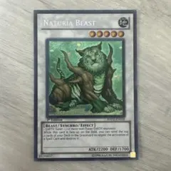 2026年最新】ナチュルビースト 英語の人気アイテム - メルカリ