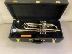 2026年最新】ミネルバ サックスの人気アイテム - メルカリ