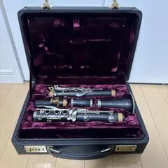 2026年最新】フェスティバル クランポンの人気アイテム - メルカリ