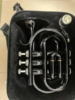 2026年最新】トランペット本体の人気アイテム - メルカリ