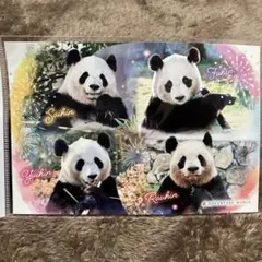 2026年最新】アドベンチャーワールド クリアファイルの人気アイテム